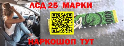 СК Гатчина