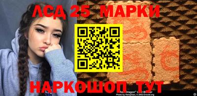 СК Гатчина