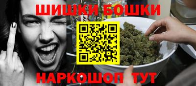 СК Гатчина