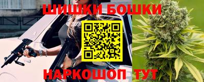 СК Гатчина