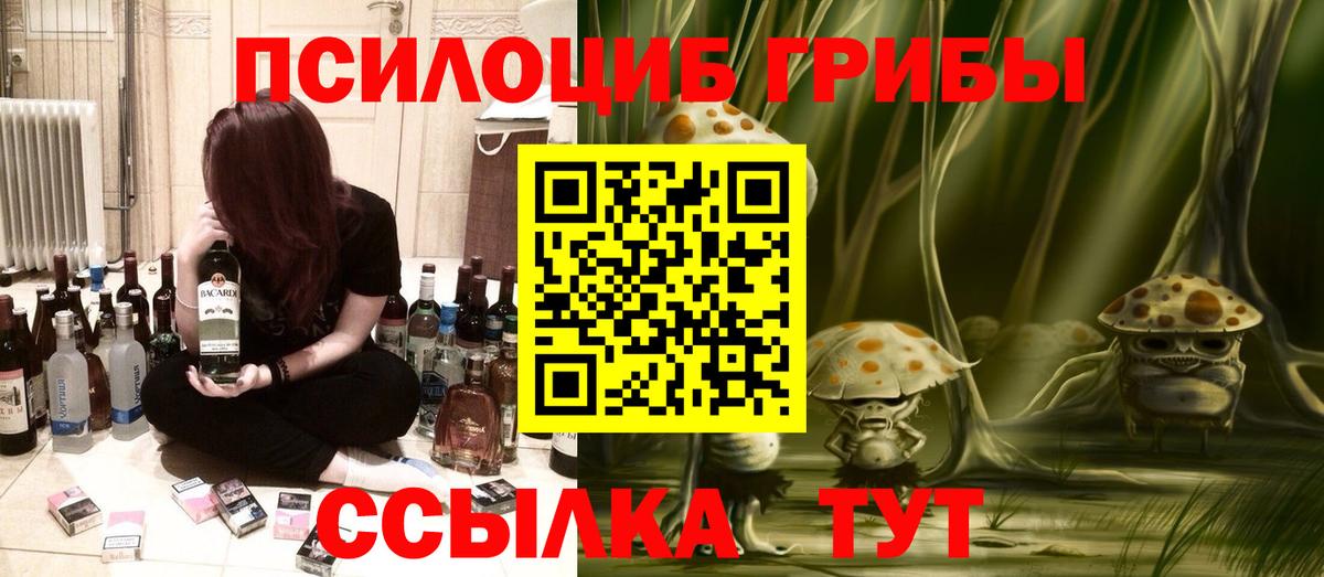 Михайловск  Галлюциногенные грибы Psilocybine cubensis  Вход с VPN  Галлюциногенные грибы MAGIC MUSHROOMS 